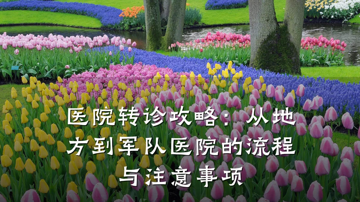 医院转诊攻略：从地方到军队医院的流程与注意事项