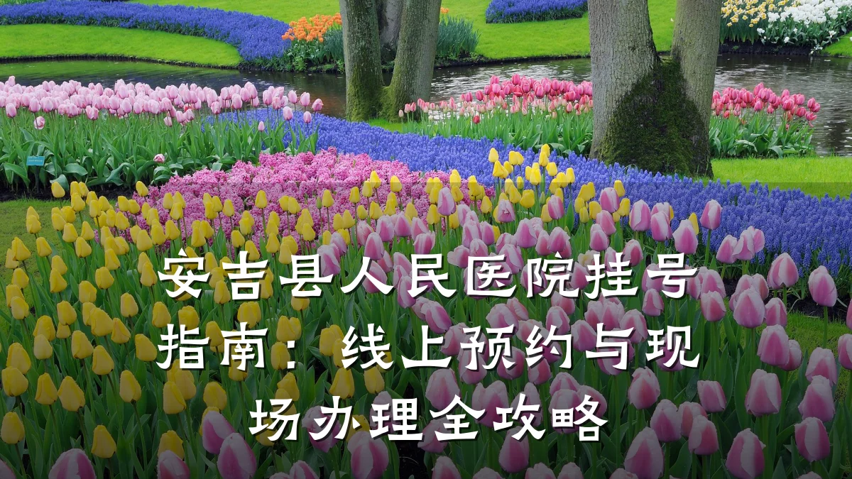 安吉县人民医院挂号指南：线上预约与现场办理全攻略