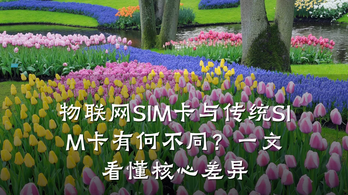物联网SIM卡与传统SIM卡有何不同?一文看懂核心差异