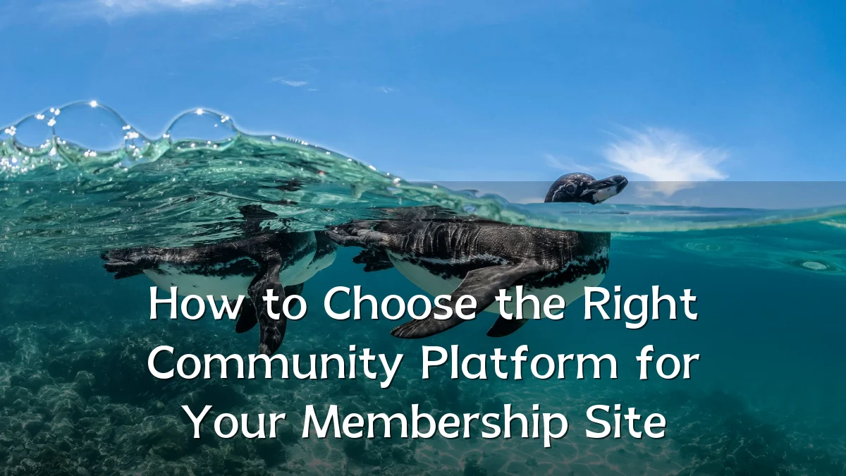 How to Choose the Right Community Platform for Your Membership Site