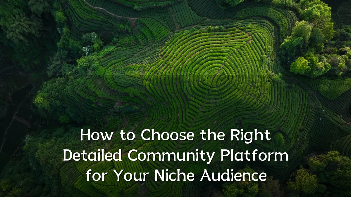 How to Choose the Right Detailed Community Platform for Your Niche Audience
