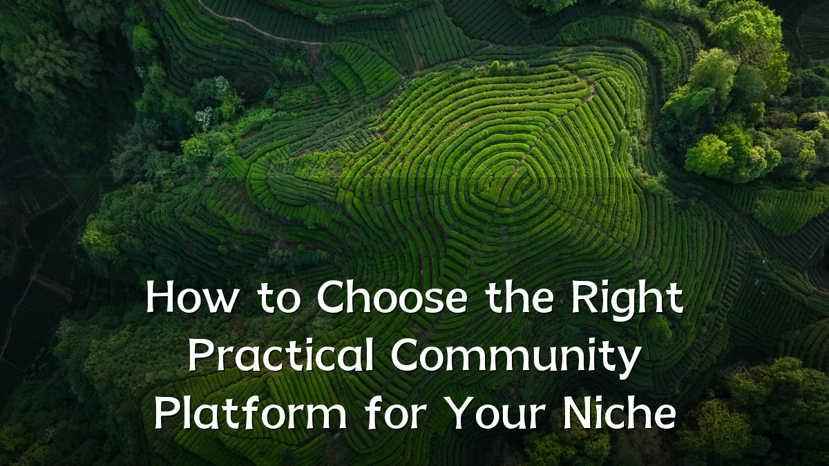 How to Choose the Right Practical Community Platform for Your Niche