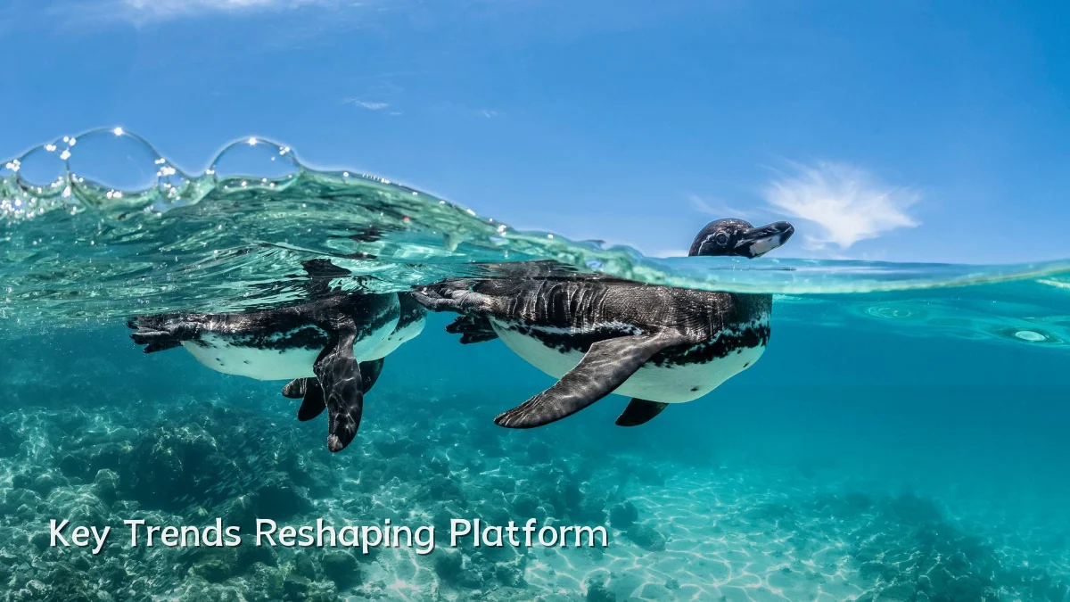 Key Trends Reshaping Platform