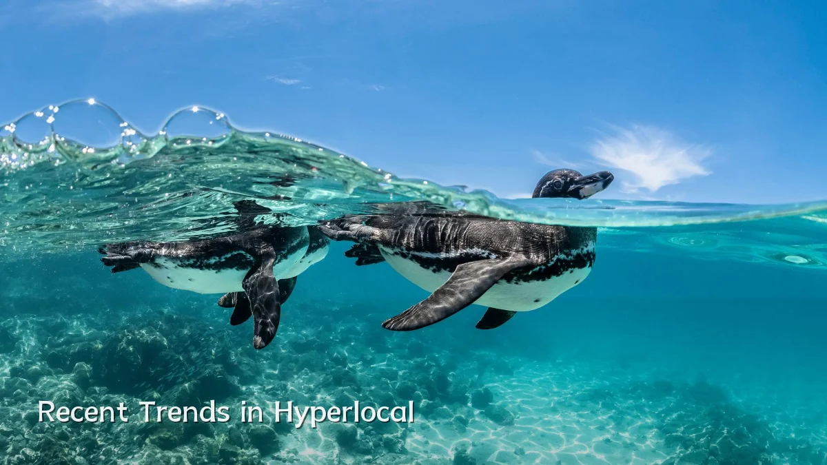 Recent Trends in Hyperlocal