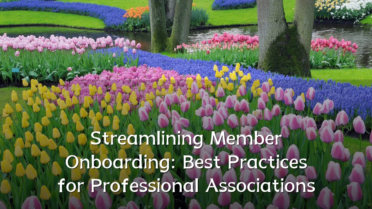 Streamlining Member Onboarding: Best Practices for Professional Associations