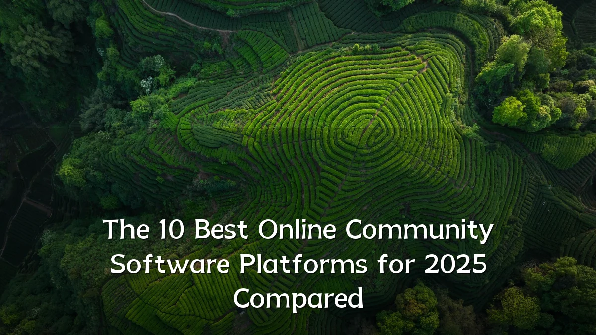 The 10 Best Online Community Software Platforms for 2025 Compared
