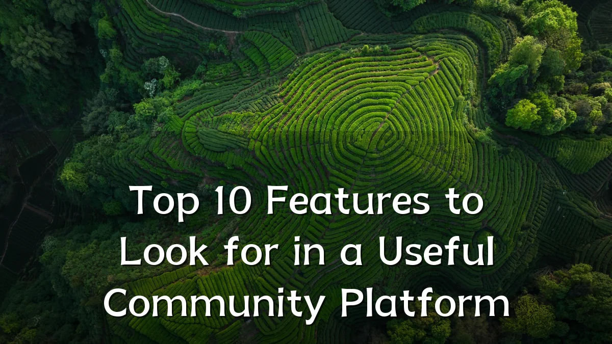 Top 10 Features to Look for in a Useful Community Platform