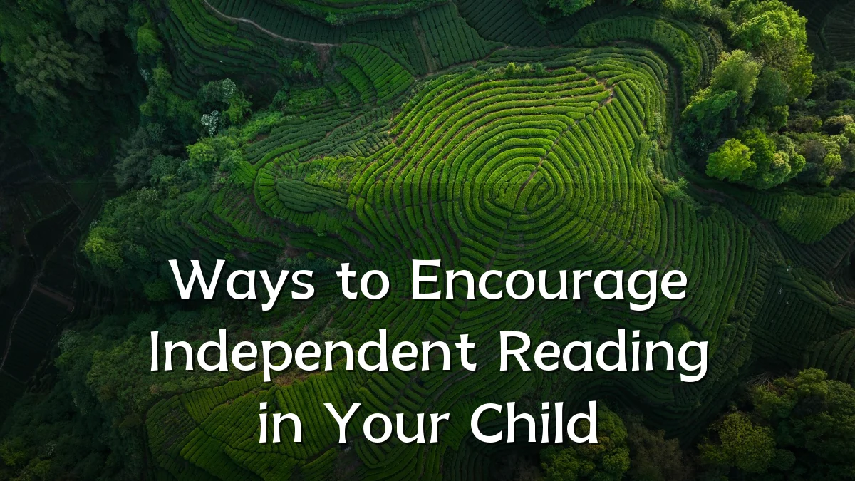 Ways to Encourage Independent Reading in Your Child