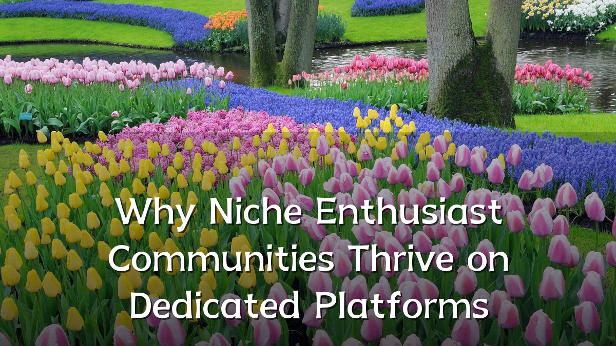 Why Niche Enthusiast Communities Thrive on Dedicated Platforms