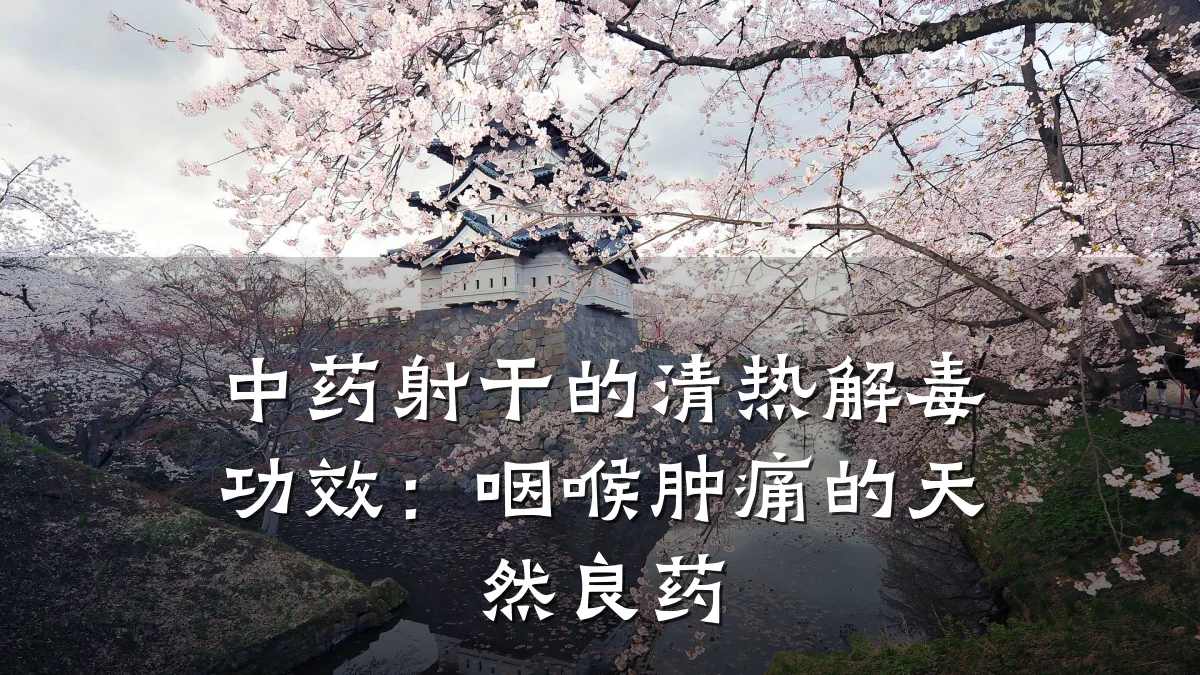 中药射干的清热解毒功效:咽喉肿痛的天然良药