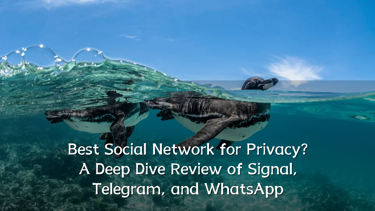 Best Social Network for Privacy? A Deep Dive Review of Signal, Telegram, and WhatsApp