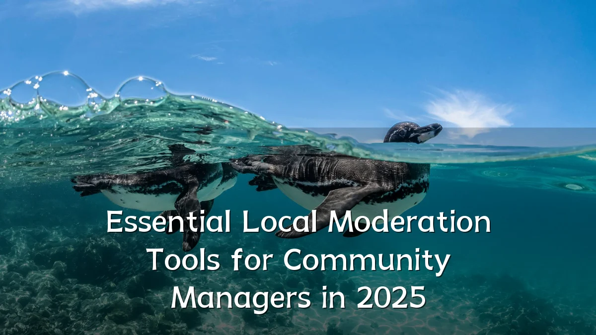 Essential Local Moderation Tools for Community Managers in 2025