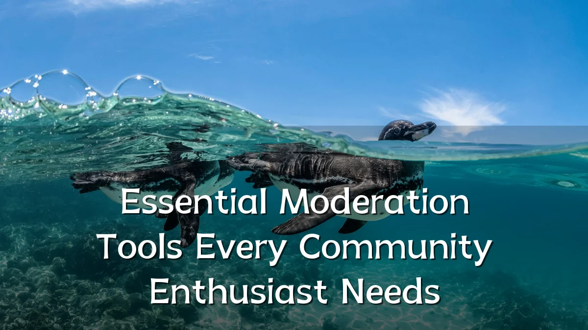 Essential Moderation Tools Every Community Enthusiast Needs