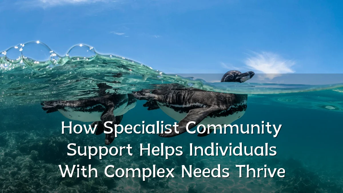 How Specialist Community Support Helps Individuals With Complex Needs Thrive