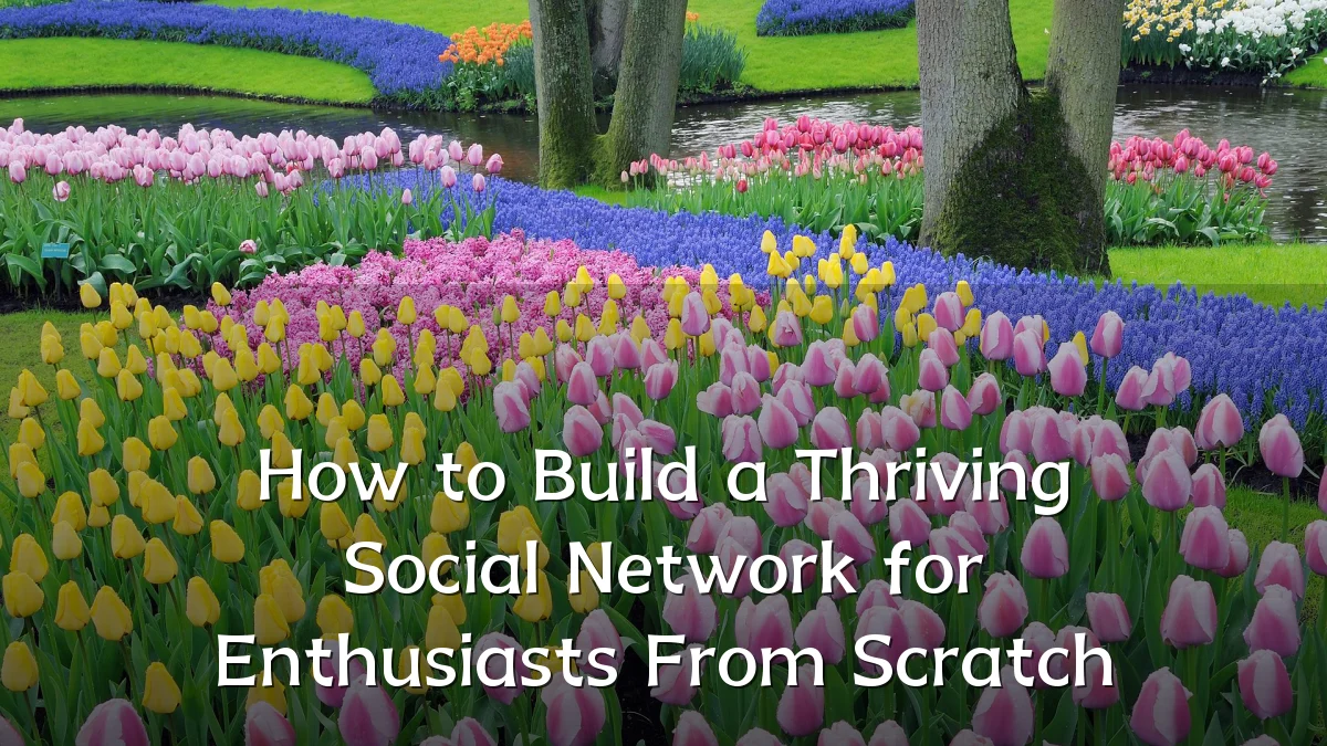 How to Build a Thriving Social Network for Enthusiasts From Scratch