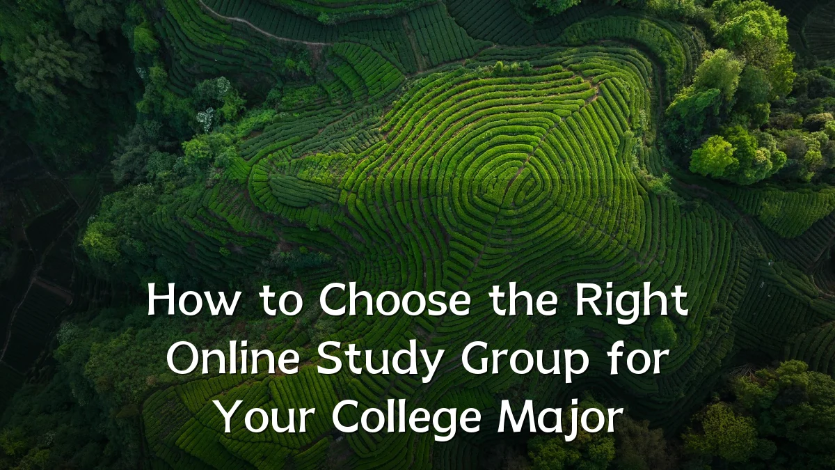 How to Choose the Right Online Study Group for Your College Major