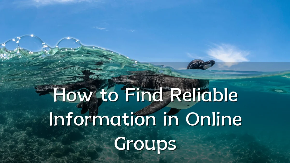 How to Find Reliable Information in Online Groups