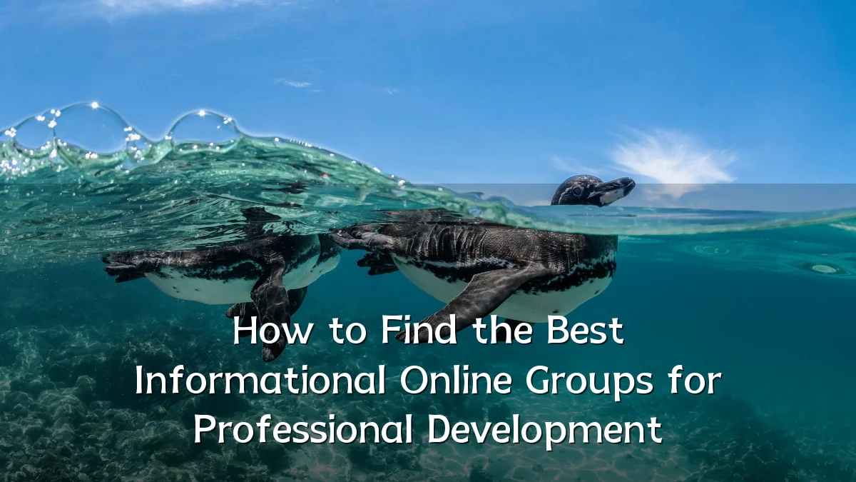 How to Find the Best Informational Online Groups for Professional Development