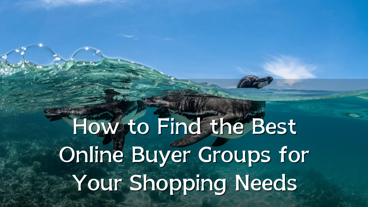 How to Find the Best Online Buyer Groups for Your Shopping Needs