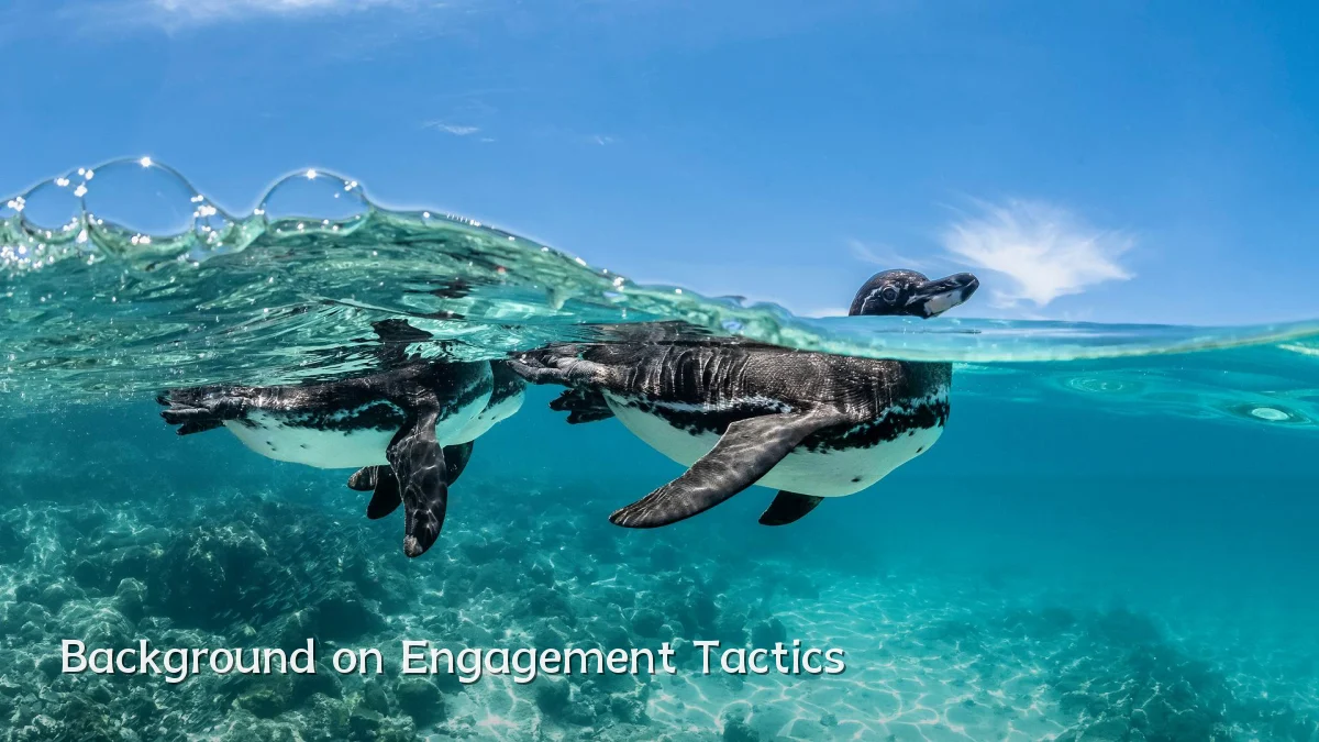 Background on Engagement Tactics