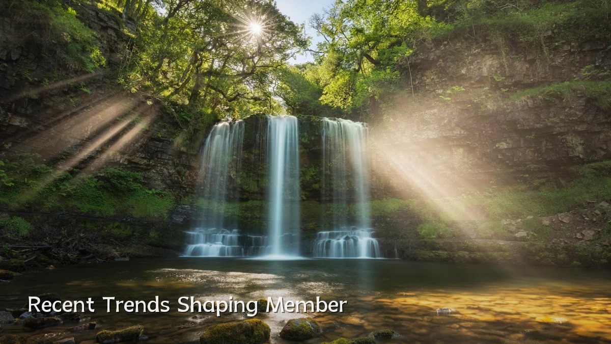 Recent Trends Shaping Member