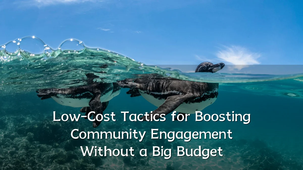 Low-Cost Tactics for Boosting Community Engagement Without a Big Budget