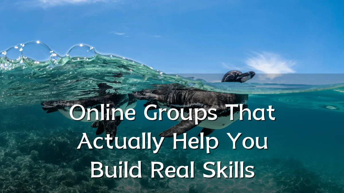 Online Groups That Actually Help You Build Real Skills