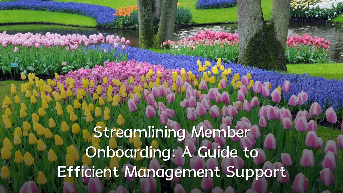 Streamlining Member Onboarding: A Guide to Efficient Management Support
