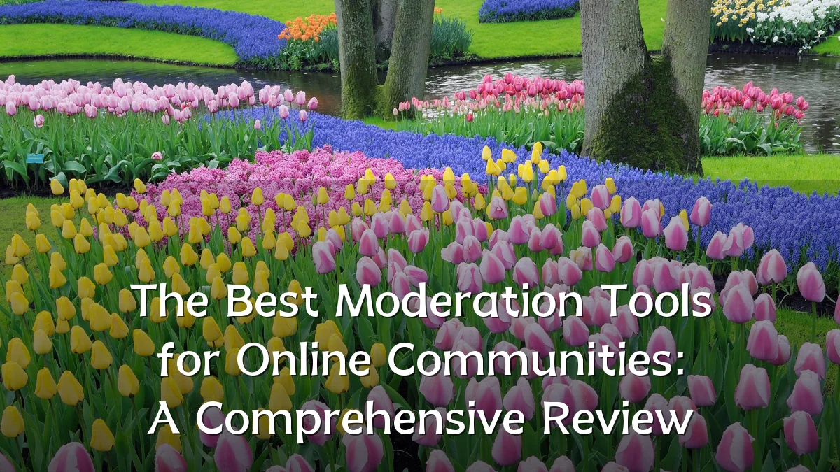 The Best Moderation Tools for Online Communities: A Comprehensive Review