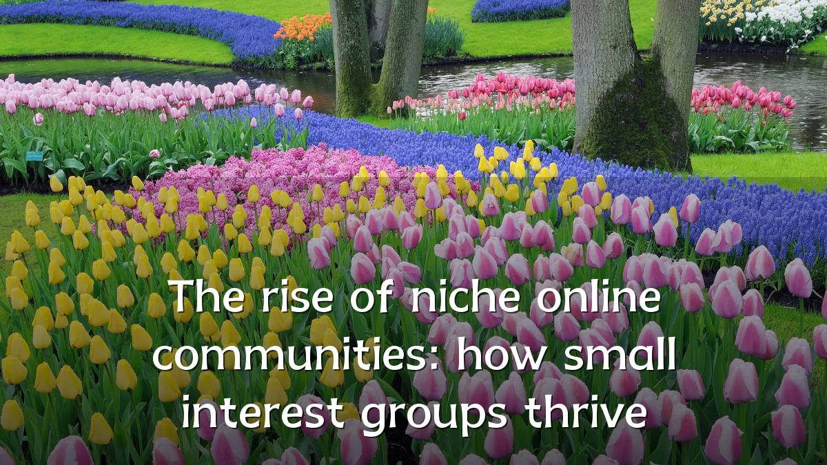 The rise of niche online communities: how small interest groups thrive