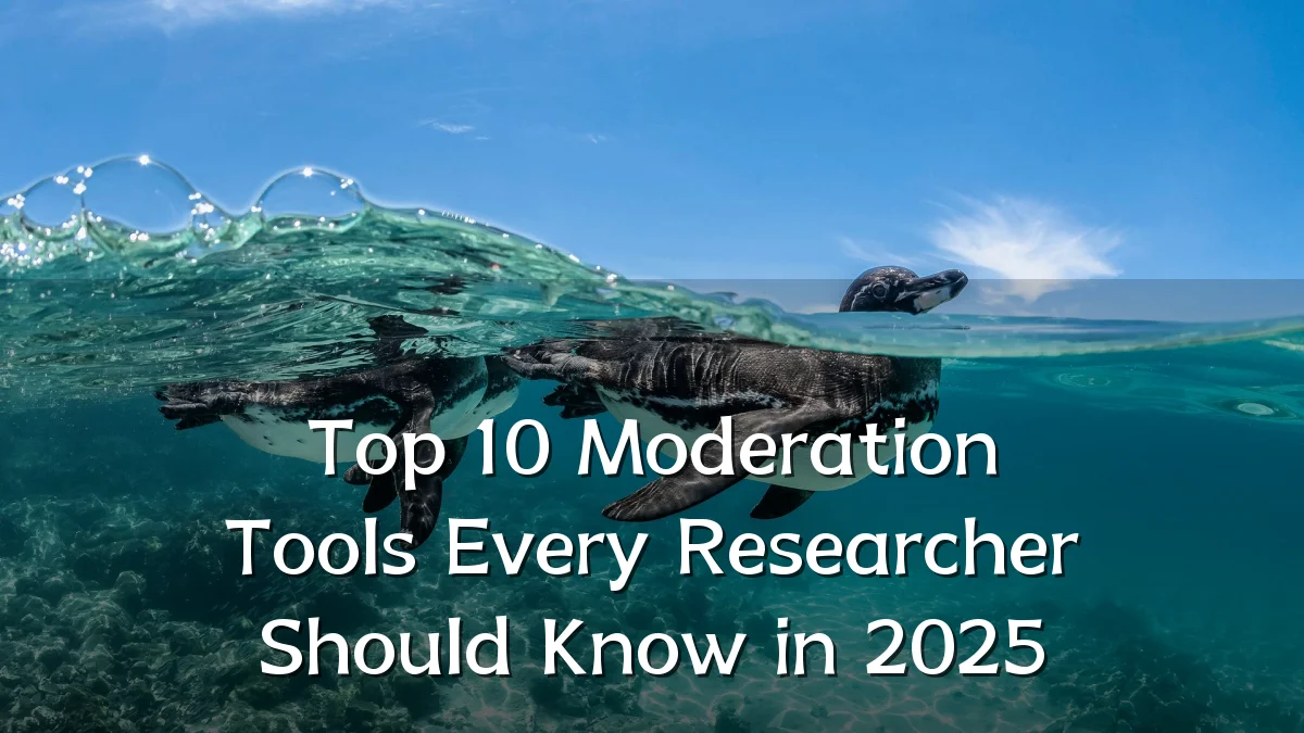 Top 10 Moderation Tools Every Researcher Should Know in 2025