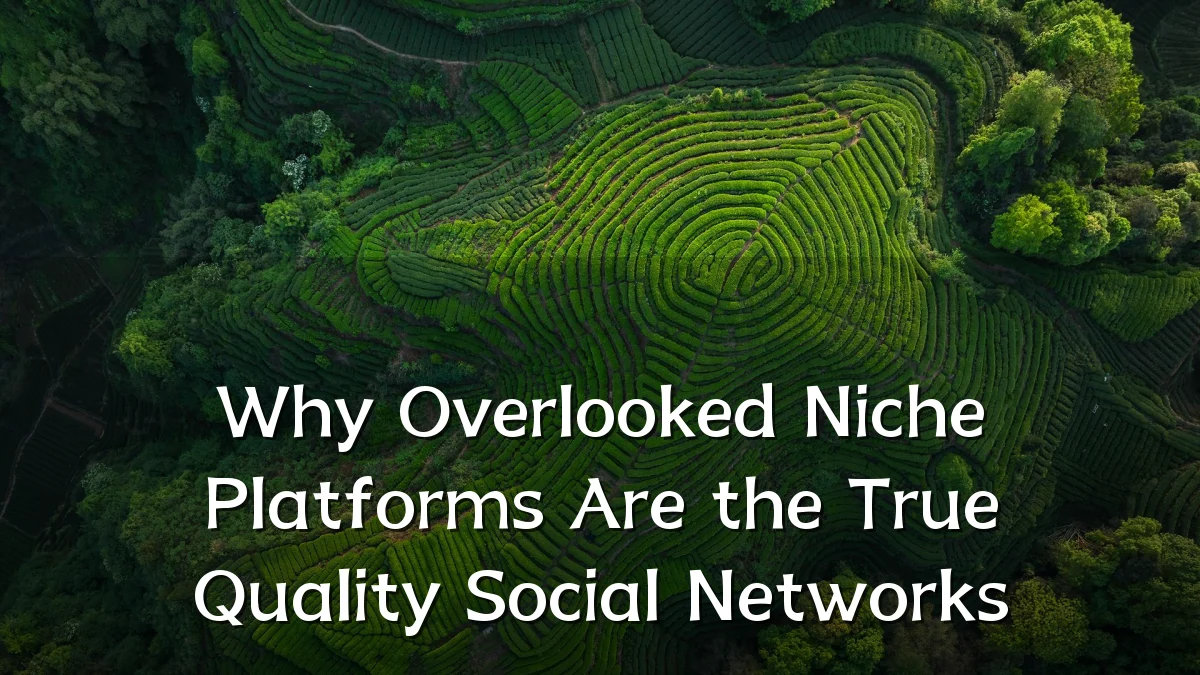 Why Overlooked Niche Platforms Are the True Quality Social Networks