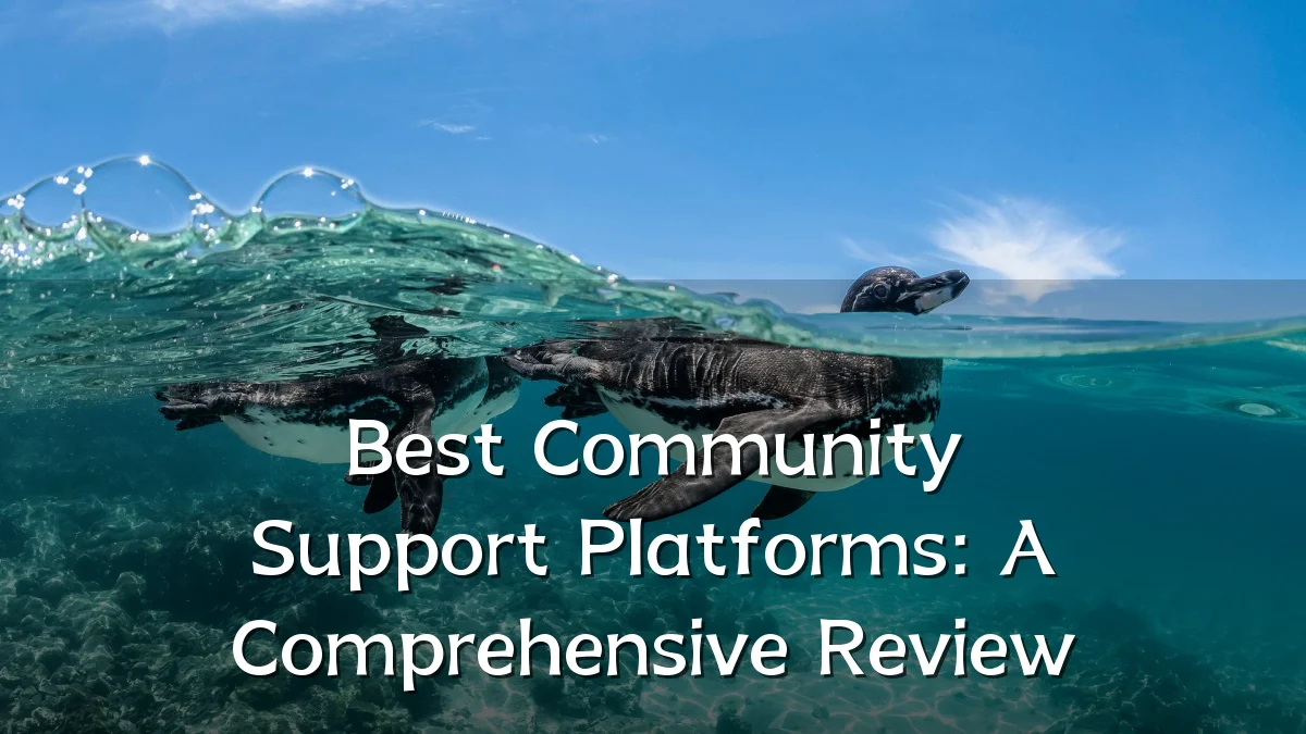 Best Community Support Platforms: A Comprehensive Review