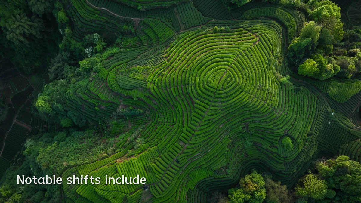 Notable shifts include
