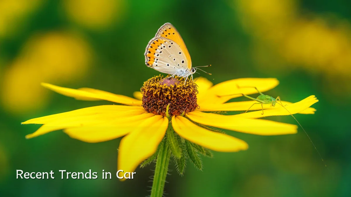 Recent Trends in Car
