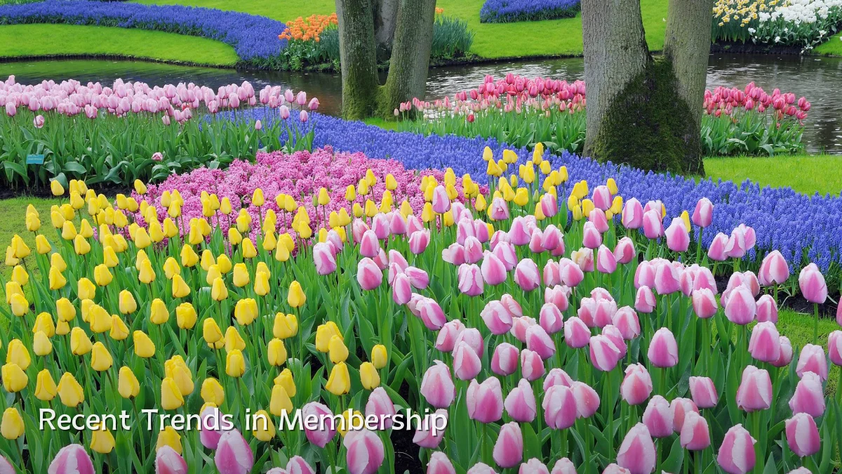 Recent Trends in Membership